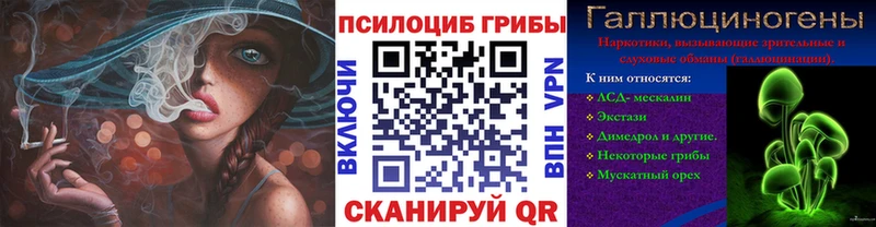 MEGA ONION где продают Узловая Галлюциногенные грибы прущие грибы